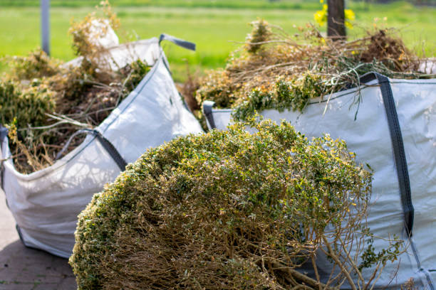 Shed Removal in East Milton, FL